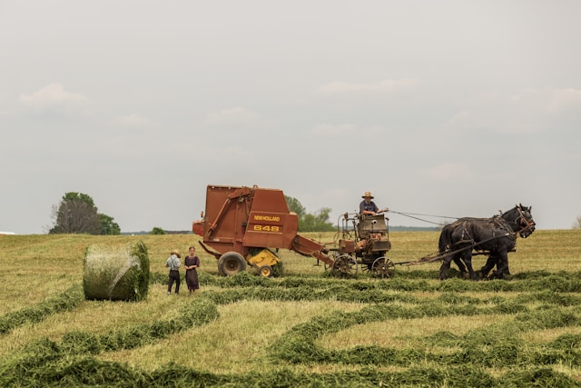 Using Practice.farm to develop your low register